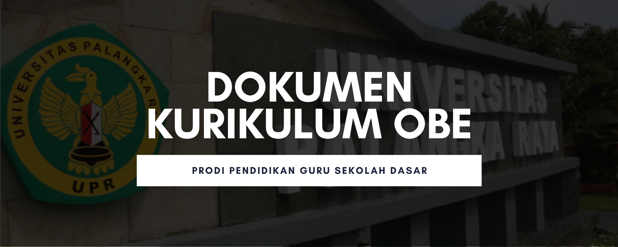Dokumen Kurikulum Program Studi PGSD