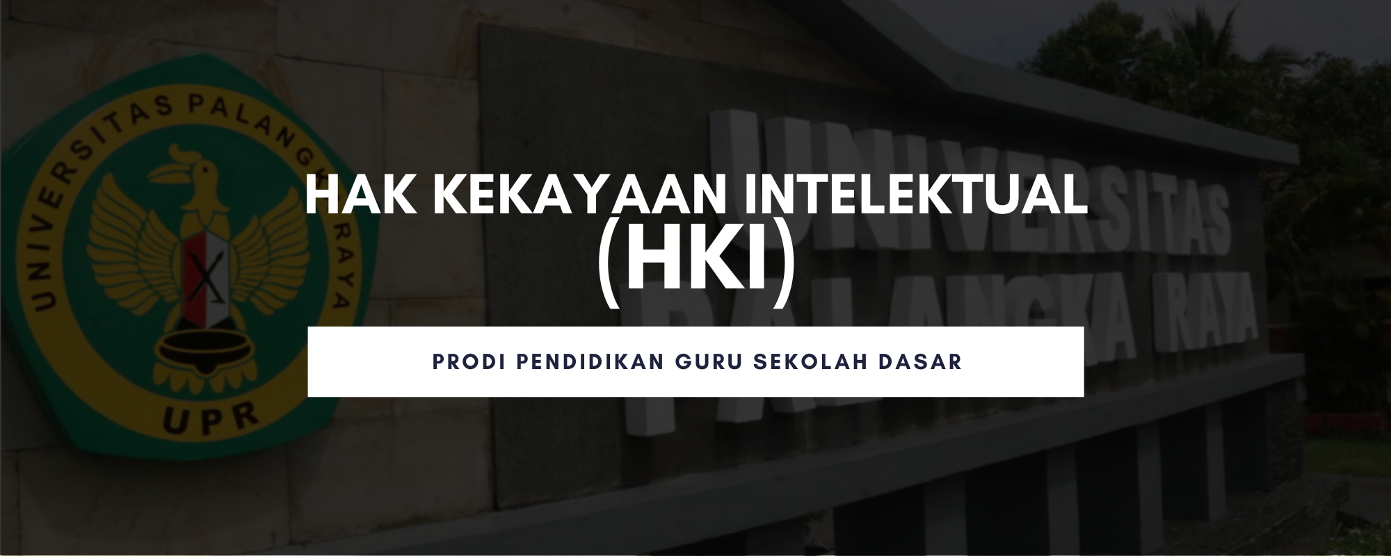 Hak Kekayaan Intelektual (HKI)