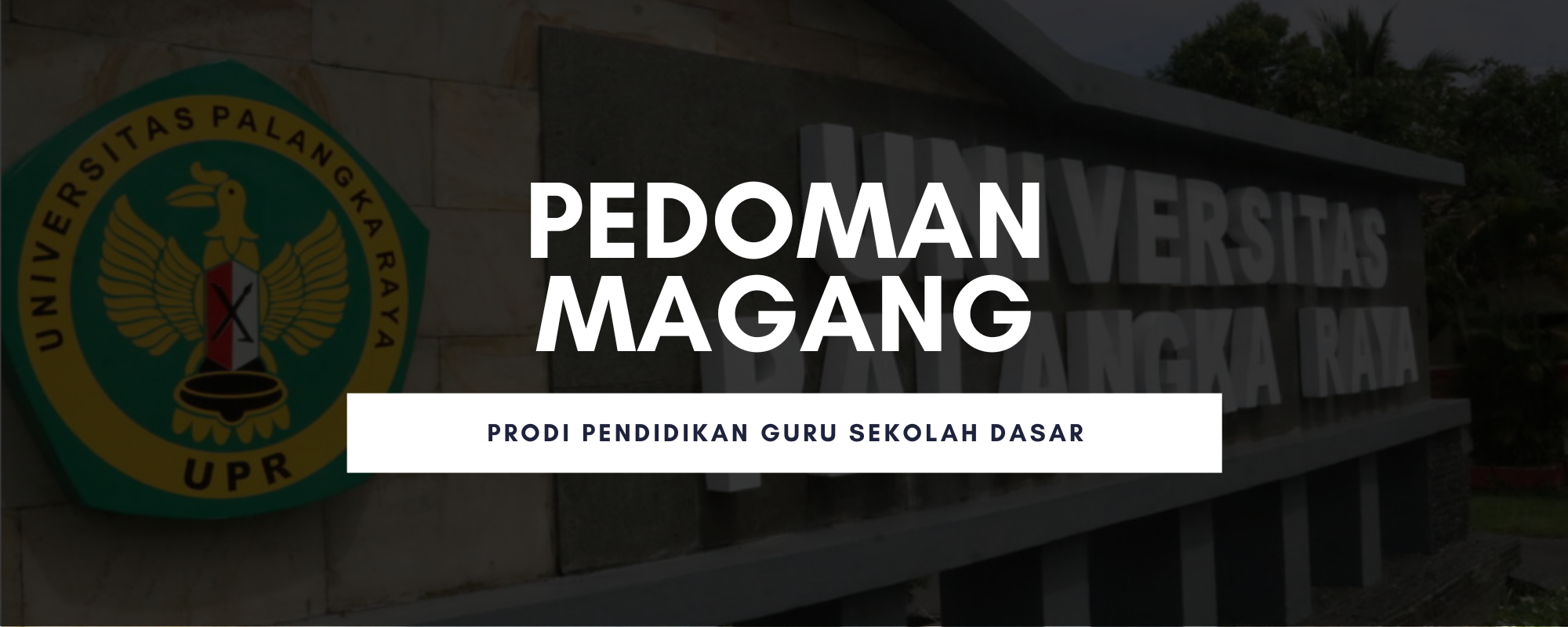 Pedoman Magang