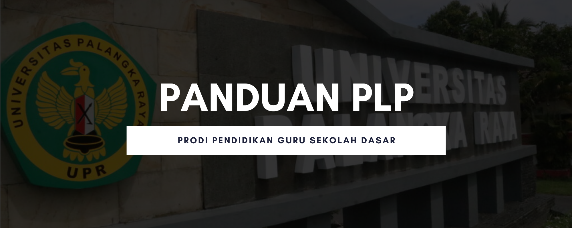 Panduan PLP